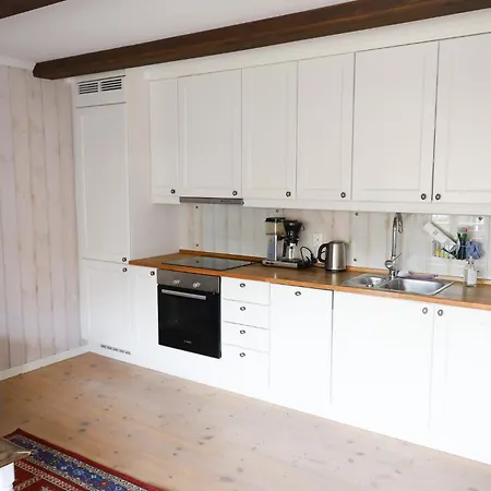 Apartment Laegenhet Med Utsikt Mot Gaustatoppen, In Out Gaustablikk