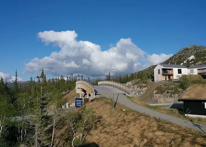 Med Utsikt Mot Gaustatoppen, In Out